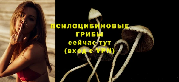 стафф Киреевск