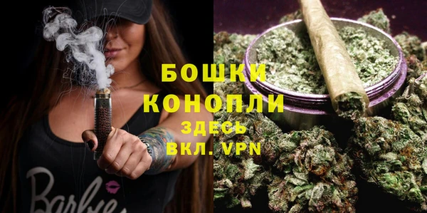 прущие грибы Киренск