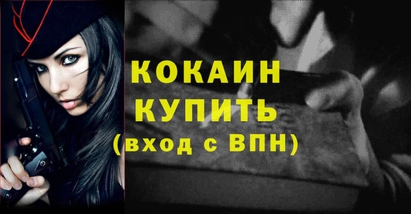 ПСИЛОЦИБИНОВЫЕ ГРИБЫ Кулебаки