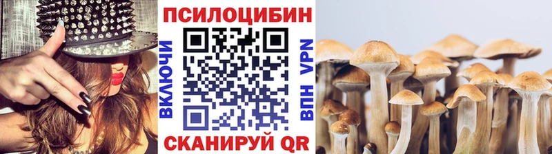 Купить закладки  Гусев  Псилоцибиновые грибы Magic Shrooms 