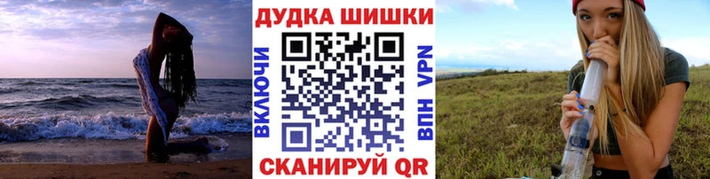 Шишки марихуана SATIVA & INDICA  Купить закладки  Гусев 